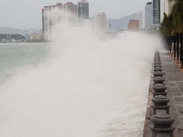 Hình ảnh Đà Nẵng-Phú Yên mưa to gió lớn, cây xanh gãy đổ khi bão số 9 chưa vào đất liền