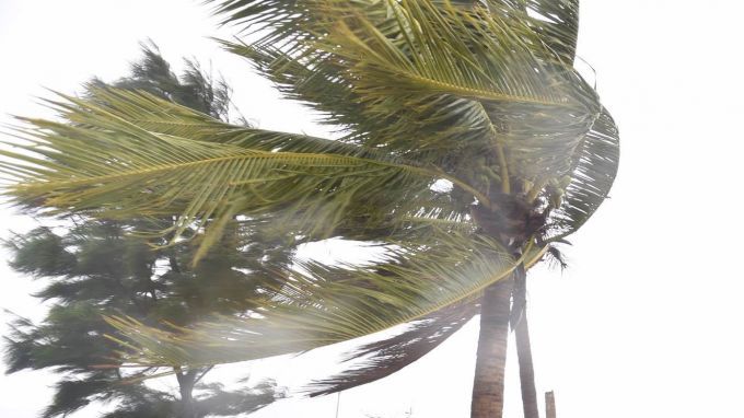 Hình ảnh Đà Nẵng-Phú Yên mưa to gió lớn, cây xanh gãy đổ khi bão số 9 chưa vào đất liền