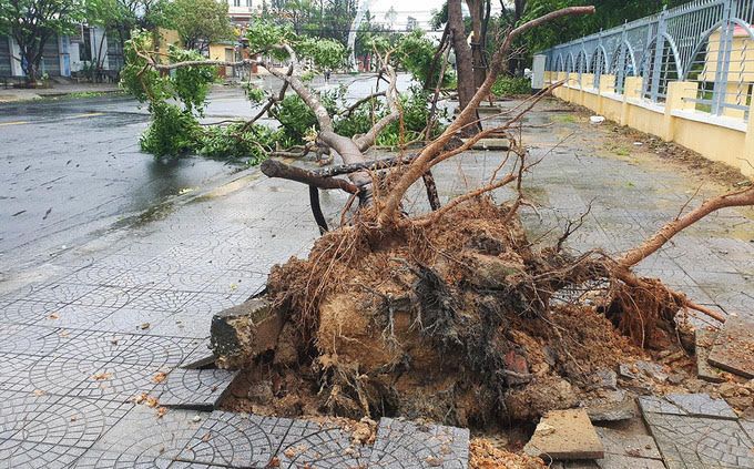 bao so 9 molave di rat nhanh rat manh ap sat bo bien da nang phu yen