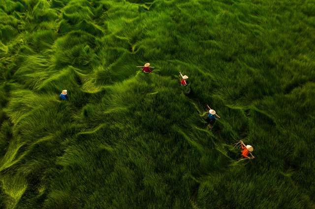 4 khoảnh khắc tuyệt đẹp của Việt Nam tại cuộc thi nhiếp ảnh quốc tế