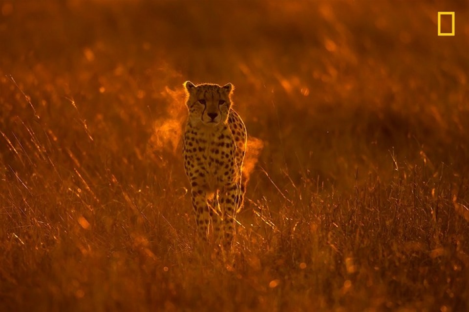 thien nhien dep me hon qua anh national geographic