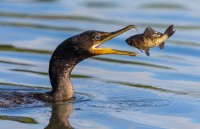 Thiên nhiên đẹp mê hồn qua ảnh National Geographic