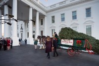 Melania và Barron Trump lần đầu đón cây thông Noel ở Nhà Trắng