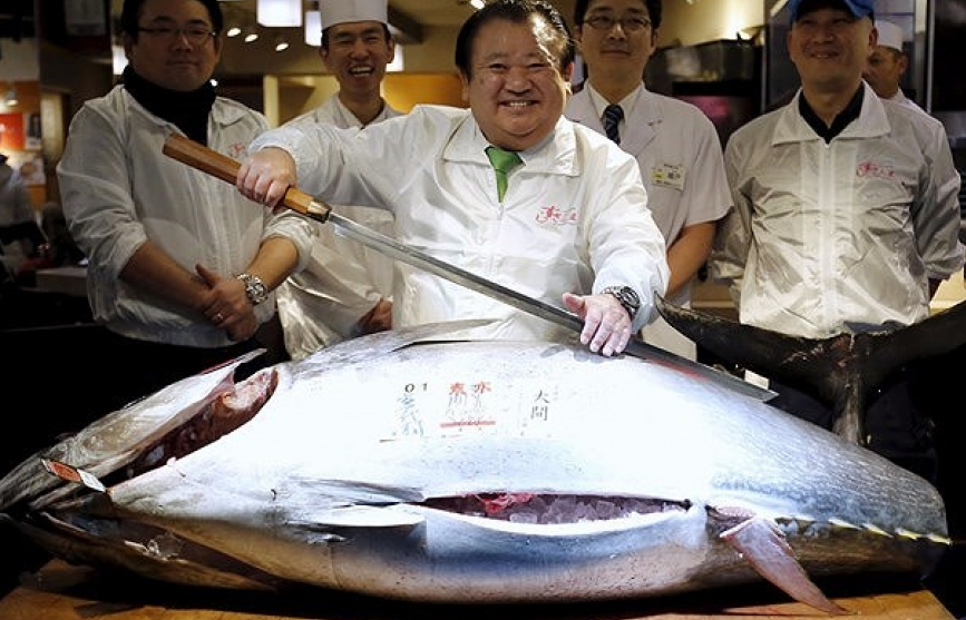 Nhật Bản: Chợ cá lớn nhất thế giới có gì đặc biệt?