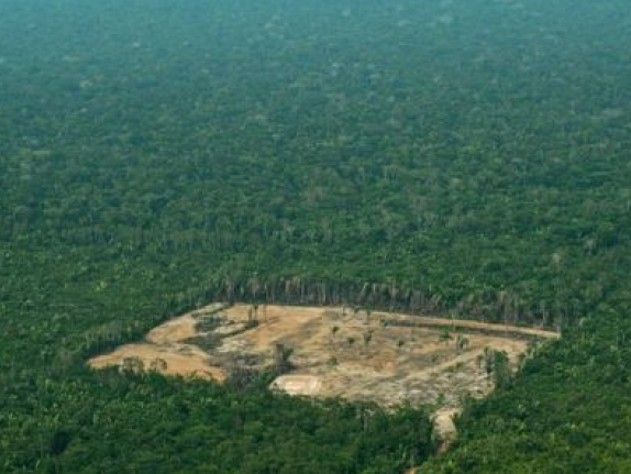 Rừng Amazon: Tàn phá ở mức độ gây sốc