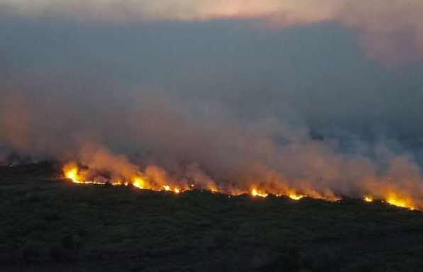 Cháy rừng lan rộng tại miền Nam - Brazil cảnh báo tình hình "đang nguy kịch"