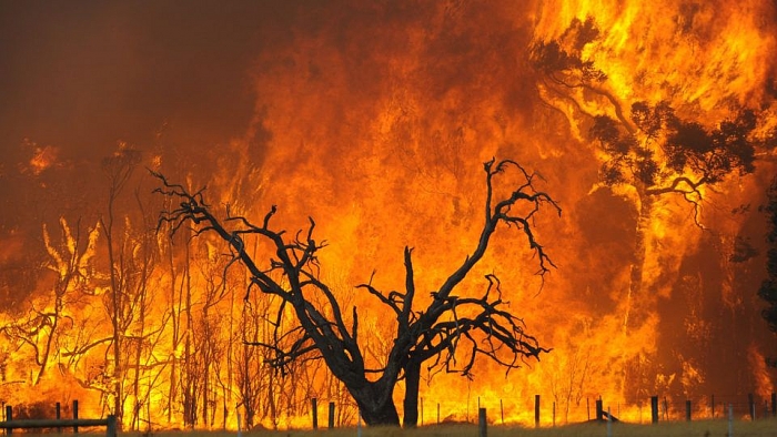 Australia Nỗ lực kiểm soát cháy rừng trước khi nhiệt độ tăng cao