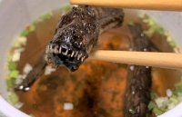 Món súp 'sinh vật ngoài hành tinh' được bán tại Nhật Bản