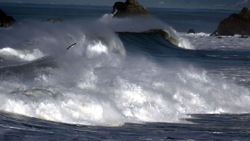 Dự báo thời tiết biển ngày và đêm nay (3/11): Bắc và giữa Biển Đông, quần đảo Hoàng Sa gió mạnh giật cấp 11, biển động rất mạnh