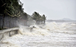 Dự báo thời tiết biển ngày và đêm nay (9/11): Mưa rào và dông; giữa Biển Đông và vùng biển Bình Định đến Ninh Thuận mưa bão, gió giật cấp 11