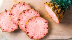 Mỹ giới thiệu trái dứa biến đổi gen ruột hồng, mùi thơm như kẹo bông giá 1 triệu đồng