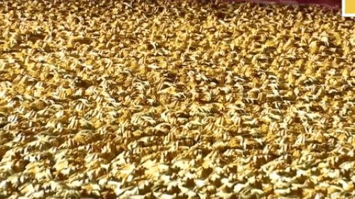 Trung Quốc: 'Choáng' với nồi hấp khổng lồ nấu 20.000 con cua lông cùng lúc