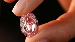 Kỷ lục về giá của viên kim cương hồng được gọi là kỳ quan của tự nhiên