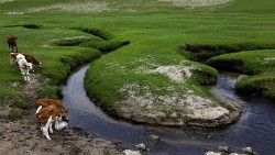 Trung Quốc: Bí ẩn dòng sông 10.000 năm tuổi, dài 17 km, đoạn hẹp nhất chỉ khoảng 4 cm