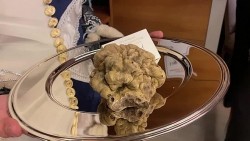 Hương vị và giá trị dinh dưỡng nấm Truffle đắt nhất thế giới có giá hơn 2,6 tỷ đồng