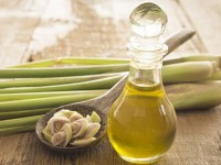 Lợi ích khi chữa bệnh bằng tinh dầu sả