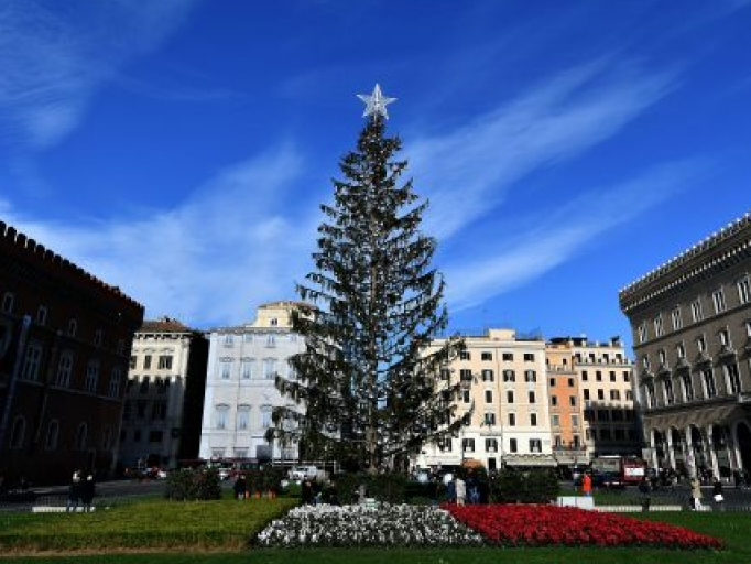 Số phận đáng thương của cây thông Giáng sinh tại Rome
