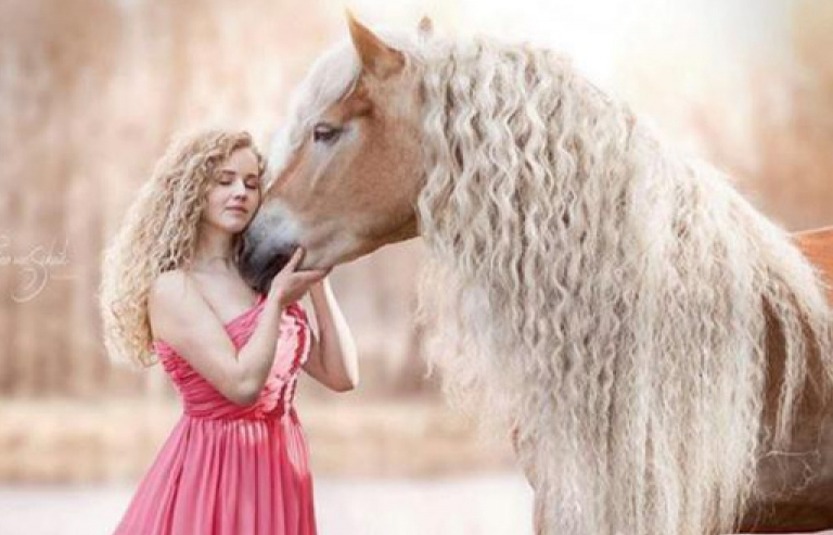 Chú ngựa trở thành sao trên mạng xã hội nhờ có bờm đẹp như mái tóc nàng Rapunzel