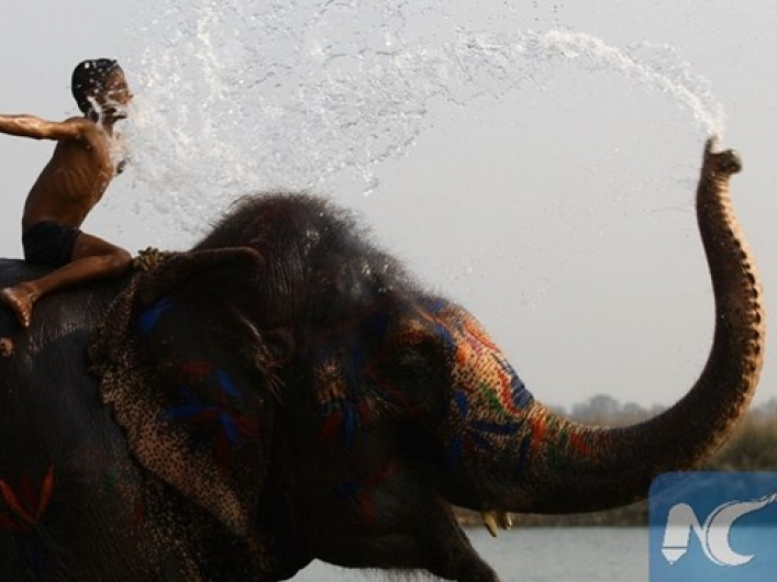 Nepal: Sôi động lễ hội voi ở Công viên quốc gia