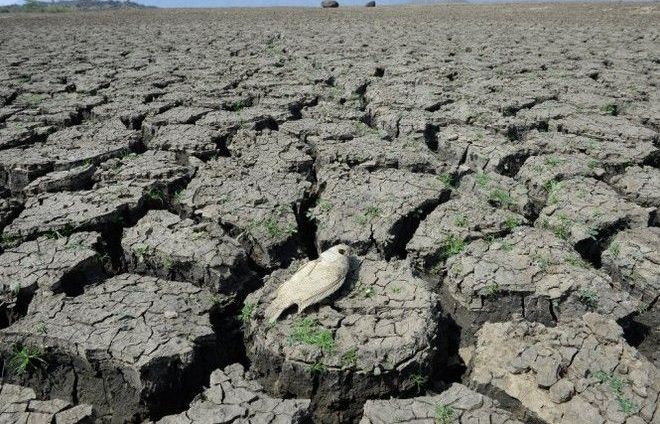 Biến đổi khí hậu: Việt Nam nằm trong 6 nước chịu thiệt hại nặng nề nhất trong 20 năm qua