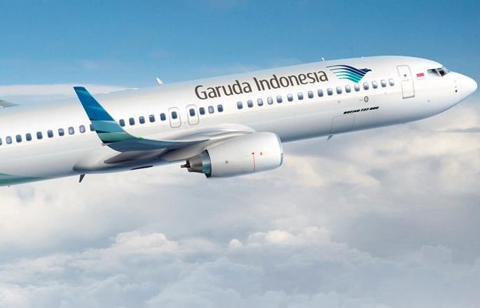 Indonesia: Hành khách mất chim quý trị giá gần 250 triệu đồng trên máy bay