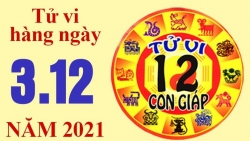 Tử vi hôm nay, xem tử vi 12 con giáp 3/12/2021: Tuổi Dần gặp thời