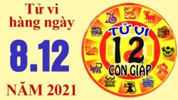 Tử vi hôm nay, xem tử vi 12 con giáp ngày 8/12/2021: Tuổi Dậu thu nhập cao