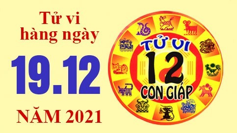 Tử vi hôm nay, xem tử vi 12 con giáp 19/12/2021: Tuổi Hợi kinh doanh có lời