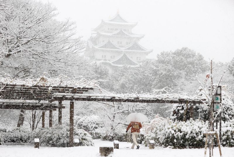 Tuyết rơi dày đặc, bao phủ lâu đài Nagoya tại thành phố Nagora, tỉnh Aichi, Nhật Bản cùng ngày, khiến di tích lịch sử này đẹp như xứ sở cổ tích. (Nguồn: AP)