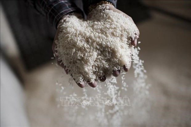 Laos’ rice export value nearly halves in 2021