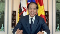 Bộ trưởng Ngoại giao Bùi Thanh Sơn thăm Brunei: Tạo dấu ấn trong một năm trọng đại, đưa hợp tác đi vào thực chất