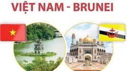 Việt Nam-Brunei: Quan hệ Đối tác toàn diện không ngừng phát triển