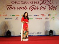 pho thu tuong vuong dinh hue tham myanmar va han quoc
