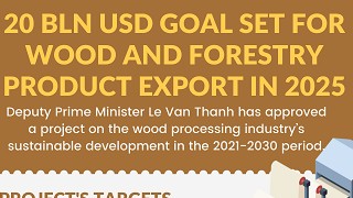 20 billion USD goal set for wood export in 2025