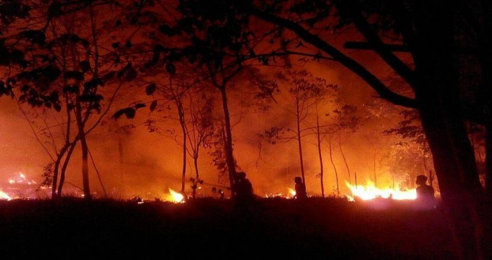 Indonesia: Khói bụi đe dọa phát triển bền vững