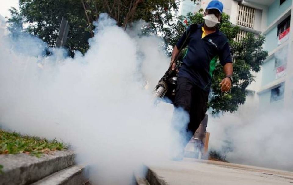 Singapore: Bệnh nhân nghi nhiễm Zika có thể điều trị tại nhà