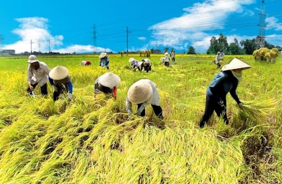 Bỉ hỗ trợ ngành nông nghiệp bền vững và đổi mới của Việt Nam