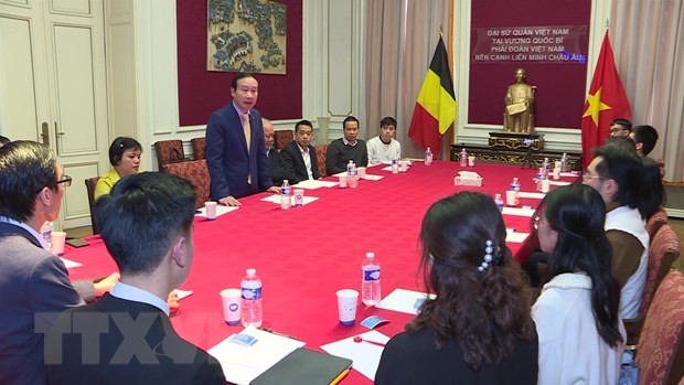 Sinh viên Việt Nam tại Bỉ tăng cường gắn kết và hướng về quê hương đất nước