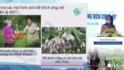 Hỗ trợ phụ nữ phát triển sinh kế thích ứng biến đổi khí hậu sau ảnh hưởng dịch Covid-19