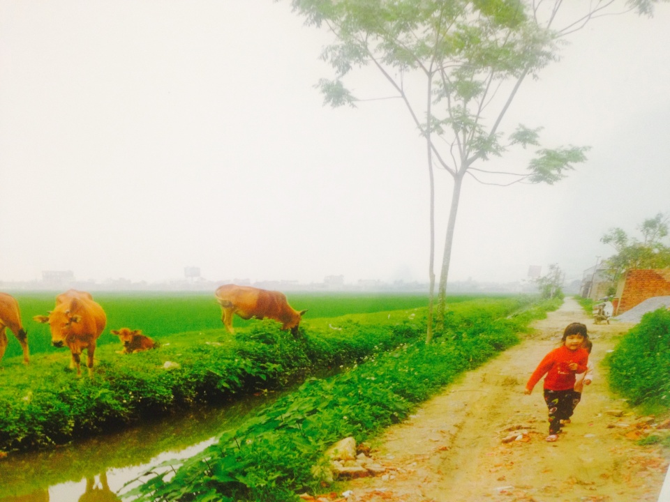 sac mau hoa nhap duoi ong kinh cua nguoi khuyet tat