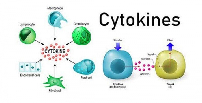 hoi chung giai phong cytokine o benh nhan covid 19