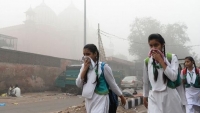 Cảnh báo mới toàn cầu về chất lượng không khí