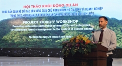 Thúc đẩy thực hiện quản lý rừng bền vững nhằm ứng phó biến đổi khí hậu