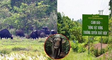 Khu bảo tồn thiên nhiên - văn hoá Đồng Nai sẽ trở thành Vườn di sản ASEAN?