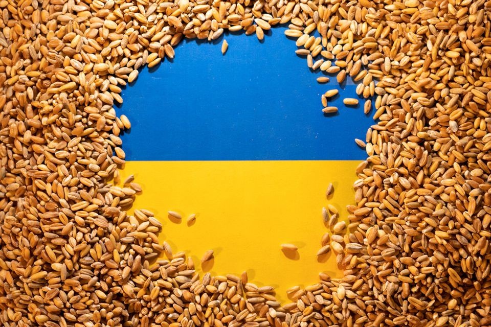 Ukraine có thể xuất khẩu tới 60 triệu tấn ngũ cốc trong 8-9 tháng tới