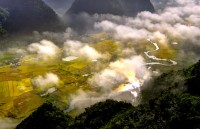 to mo trien lam anh khoa than dau tien duoc cap phep o viet nam