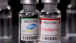 Vaccine Covid-19: Pfizer và Moderna nâng giá cung cấp cho thị trường EU