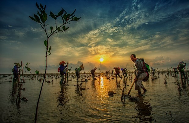 Ngắm những tác phẩm xuất sắc nhất cuộc thi ảnh 'Bảo tồn và sử dụng bền vững các vùng đất ngập nước của Việt Nam'