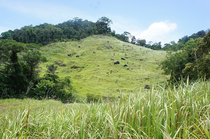 Việt Nam được UNESCO công nhận hai Khu dự trữ sinh quyển thế giới