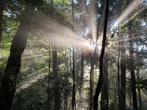 Viet Nam’s biosphere reserves earn UNESCO recognition